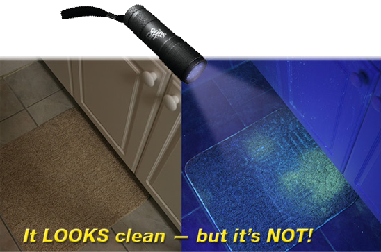 It looks clean... but it's not!