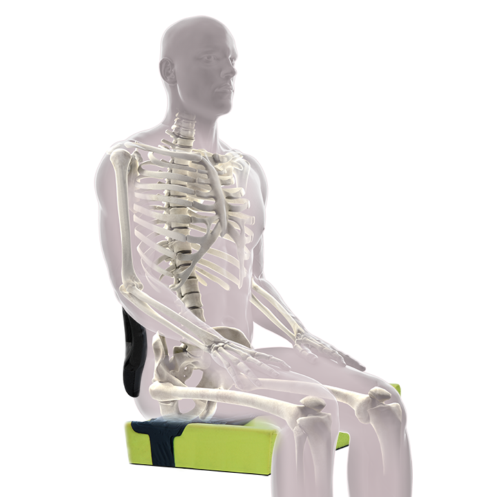 Pelvic stability with cushion & back