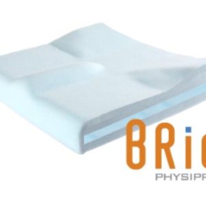 Brio Cushion